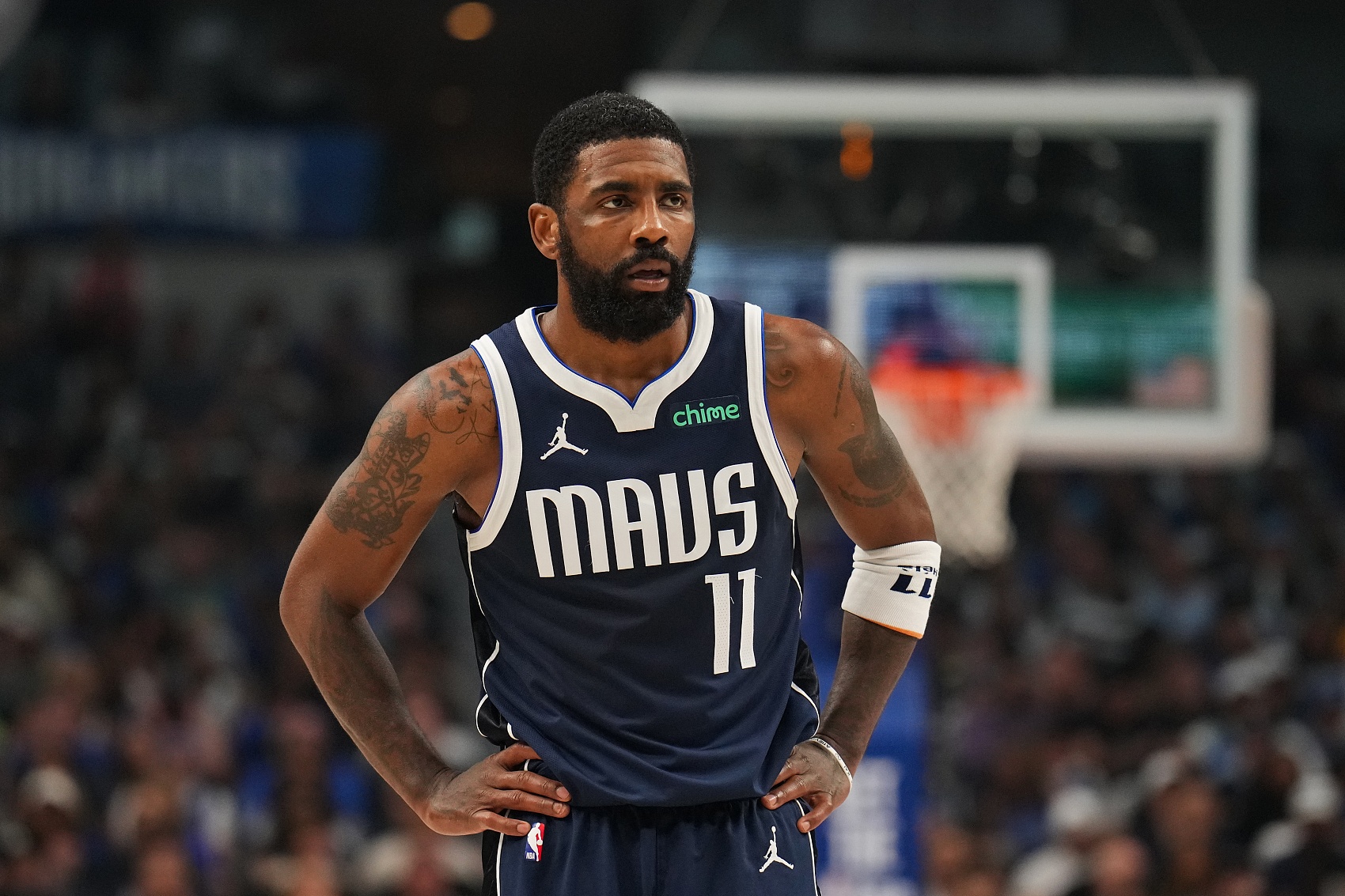 投入巨资赞 投入巨资赞