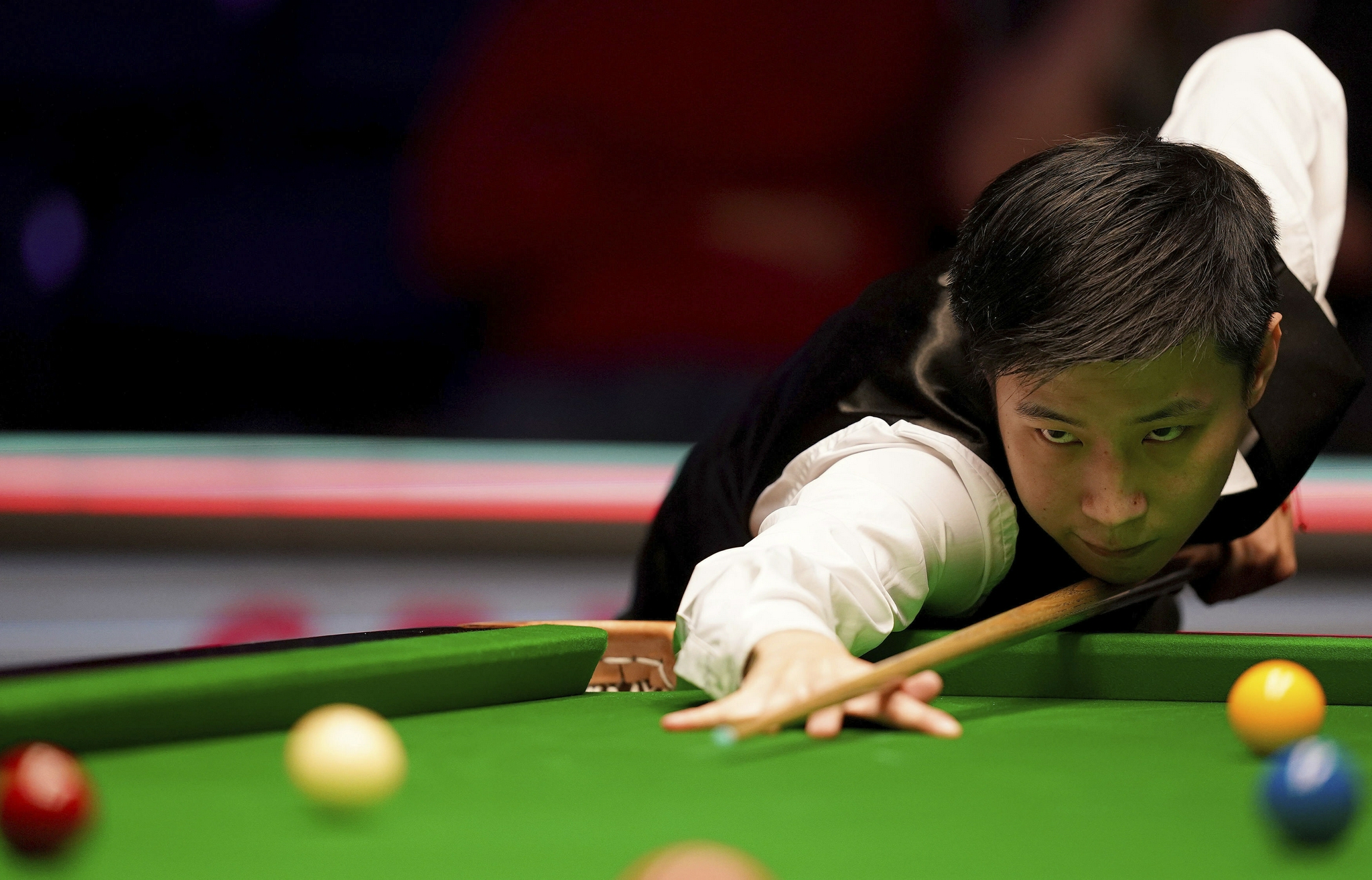 会在关注 会在关注