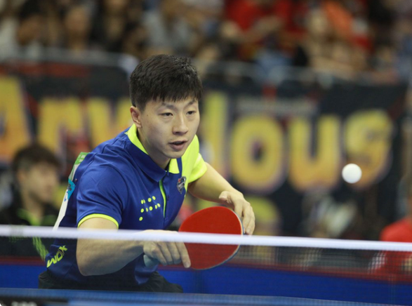 的最强背书 的最强背书